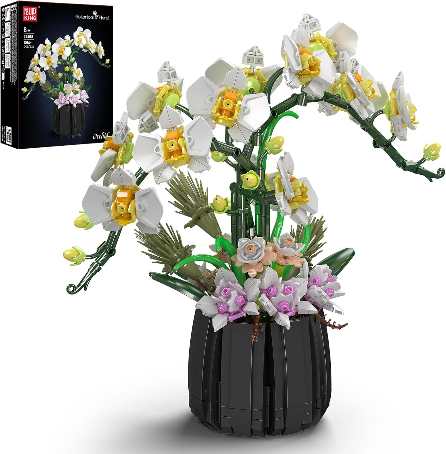 Orchideen Orchideen