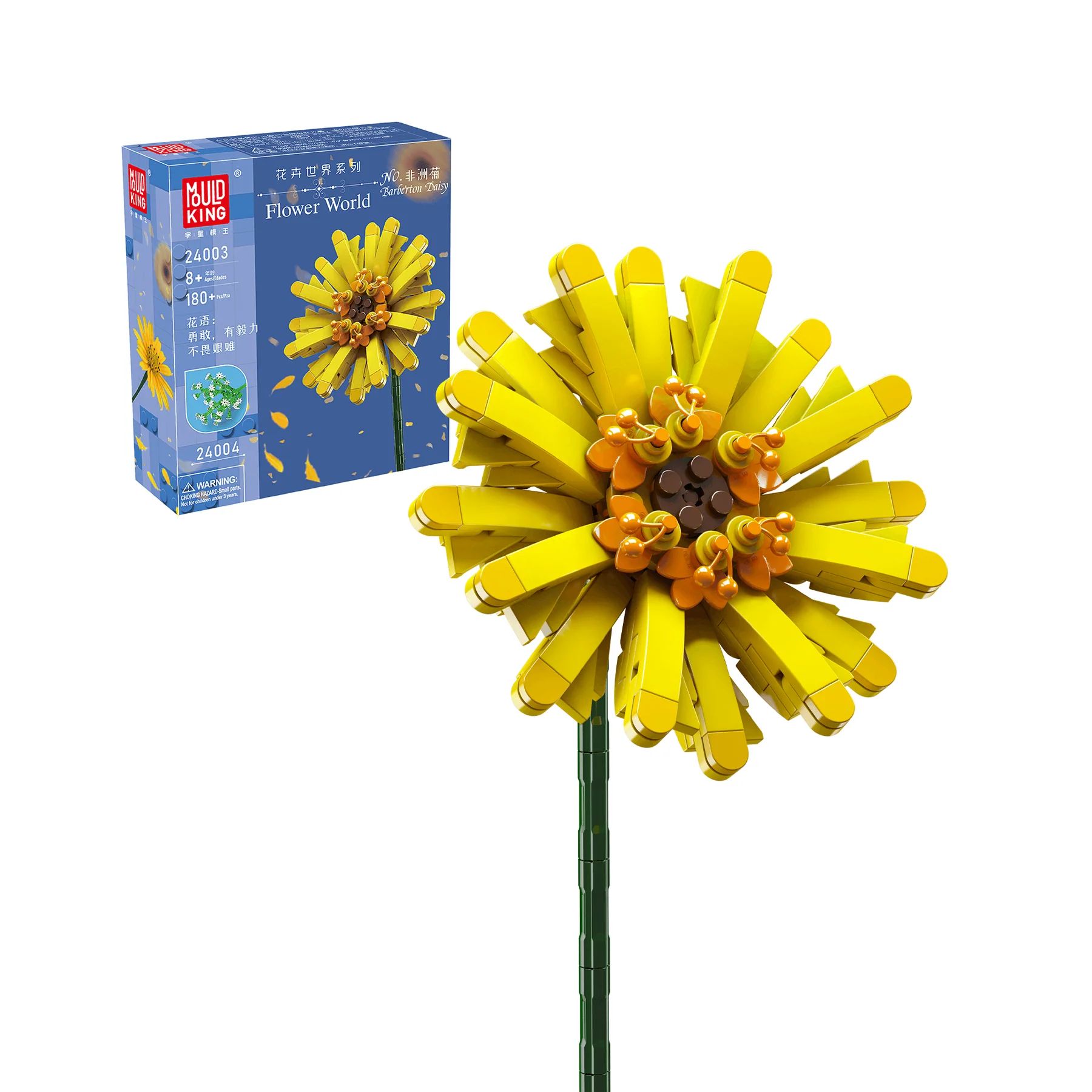 Gerbera Gerbera